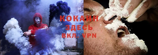 твердый Арсеньев
