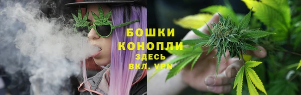 ГАЛЛЮЦИНОГЕННЫЕ ГРИБЫ Аркадак