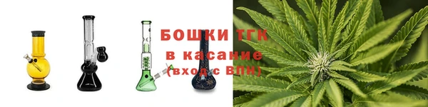 ГАЛЛЮЦИНОГЕННЫЕ ГРИБЫ Аркадак