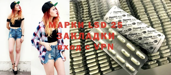 индика Новозыбков