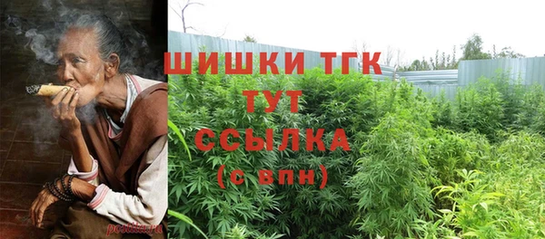 твердый Арсеньев