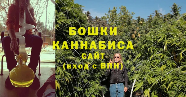ГАЛЛЮЦИНОГЕННЫЕ ГРИБЫ Аркадак