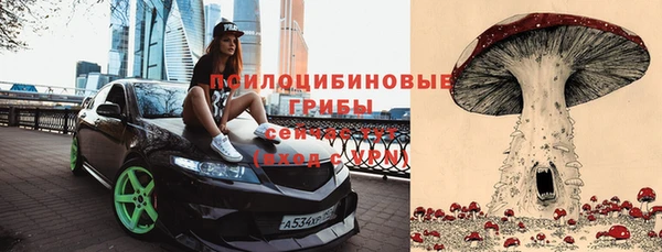 твердый Арсеньев