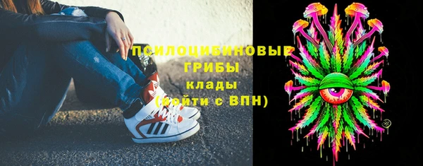 ГАЛЛЮЦИНОГЕННЫЕ ГРИБЫ Аркадак