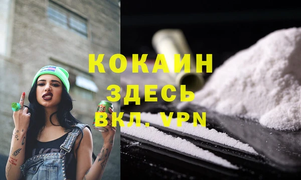 твердый Арсеньев