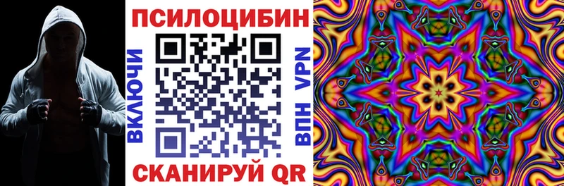 Псилоцибиновые грибы Cubensis  Малмыж 